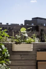 Truhlík Bau Balcony Box, cashmere
