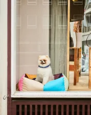 Psí pelíšek Dogs Bed S, multi
