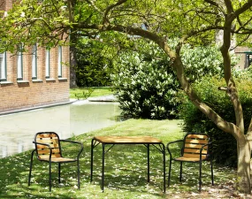 Židle s područkami Vig Robinia, black