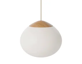 Závěsná lampa Acorn Ø41, matt opal glass