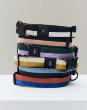 Obojek pro psa Dogs Collar Flat M/L, blue/black