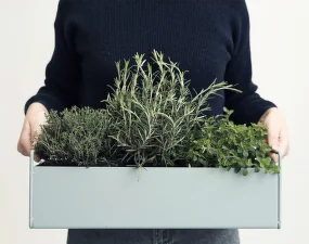 Truhlík na květiny Plant Box Small, Black