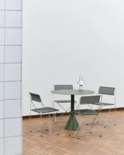 Židle X-Line Chrome, autumn green