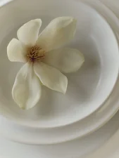 Miska Edge Bowl Ø26 cm, ecru stoneware