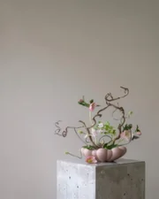 Mísa Bloom Tray Medio, rose