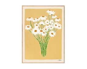 Plakát Daisies 30x40