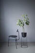 Židle Afteroom Dining Chair 4, black ash