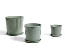 Botanical Family Set dusty green