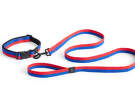 obojek-HAY Dogs Collar Flat S/M, red/blue