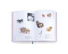 Kniha Eames Furniture Sourcebook