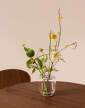 Ikebana small