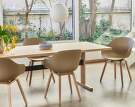 zidle-AAC 222 Chair Oak, clay