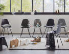 Vitra Eames Plastic Chair DSX