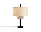 Margin Table Lamp