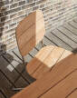 zidle Lilium Chair