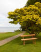 lavice-Banco Bench, teak