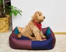 pelech-HAY Dogs Bed L, burgundy/green