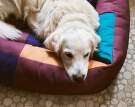 pelech-HAY Dogs Bed L, burgundy/green
