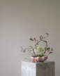 Mísa Bloom Tray Medio, rose