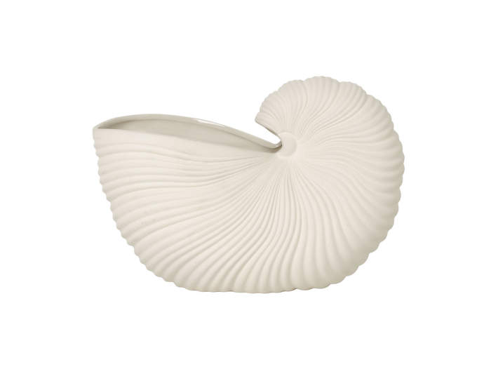 Shell Pot