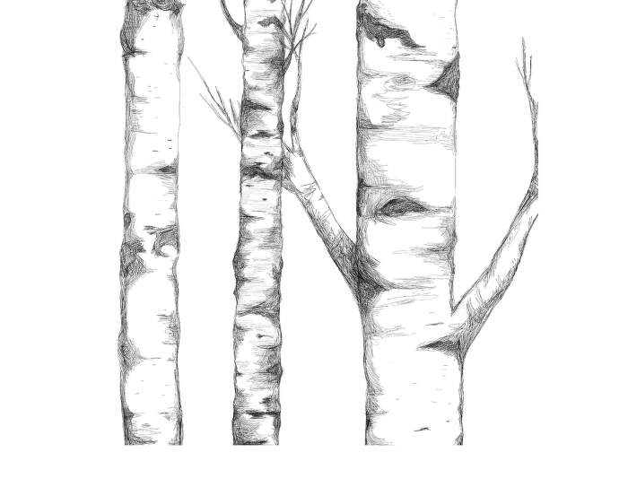 tapeta-Tree Wallpaper 9451W
