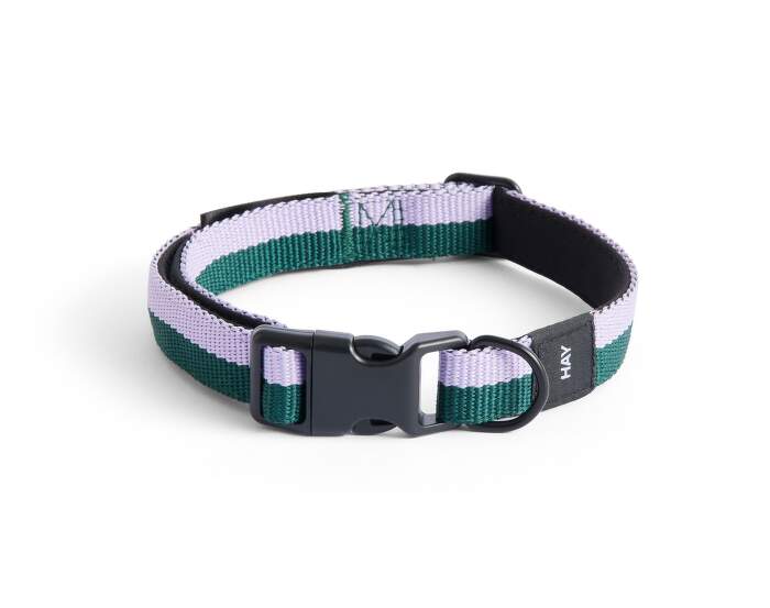 obojek-HAY Dogs Collar Flat S/M, lavender/green