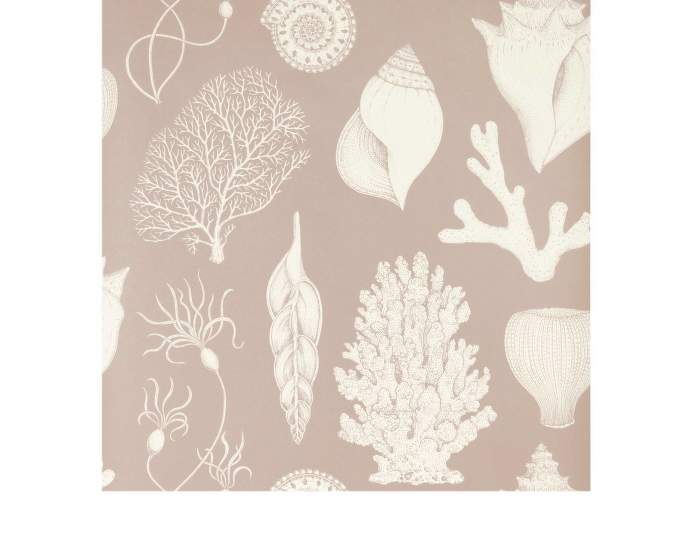 Tapeta Katie Scott Shells, dusty rose