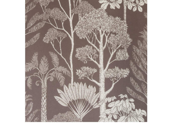 Trees-Wallpaper-brown-mahagony