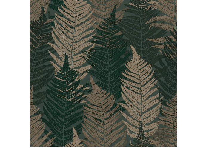 Fern-Forest-1164