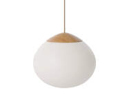 Závěsná lampa Acorn Ø32, matt opal glass