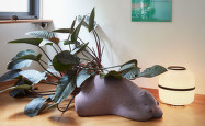 Kolekce Resting Animals od Vitra