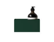 Koupelnová polička Bath Shelf 20, green