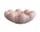 Mísa Bloom Tray Big, rose