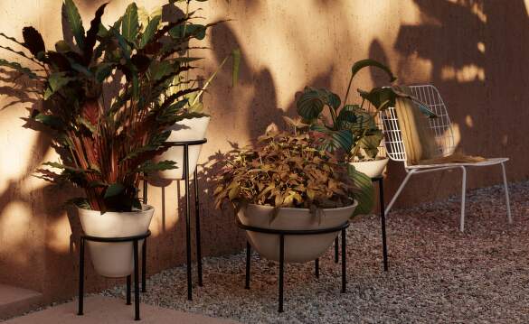 Daiza Planters