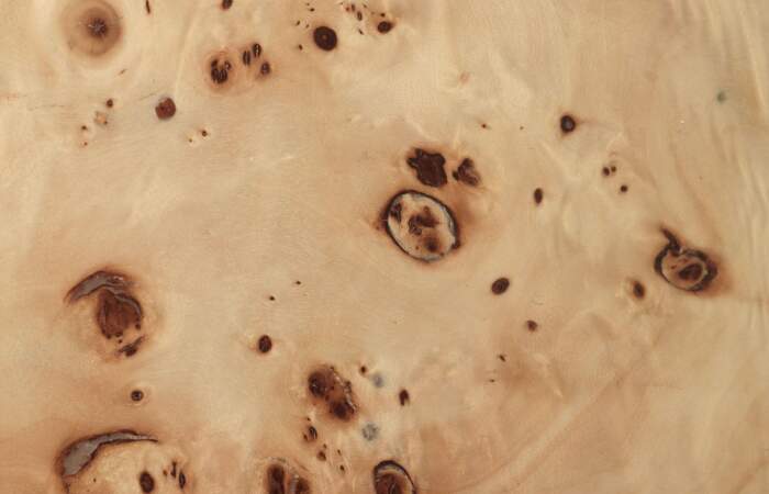 burl_detail