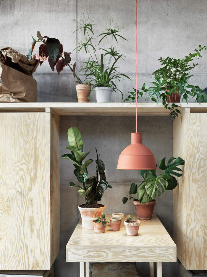 muuto_rostliny_unfold
