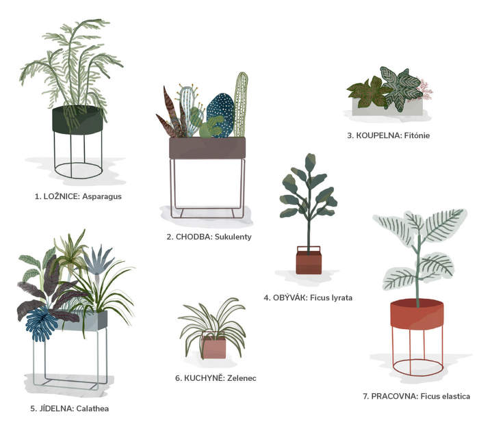 PlantGuidecz_blog